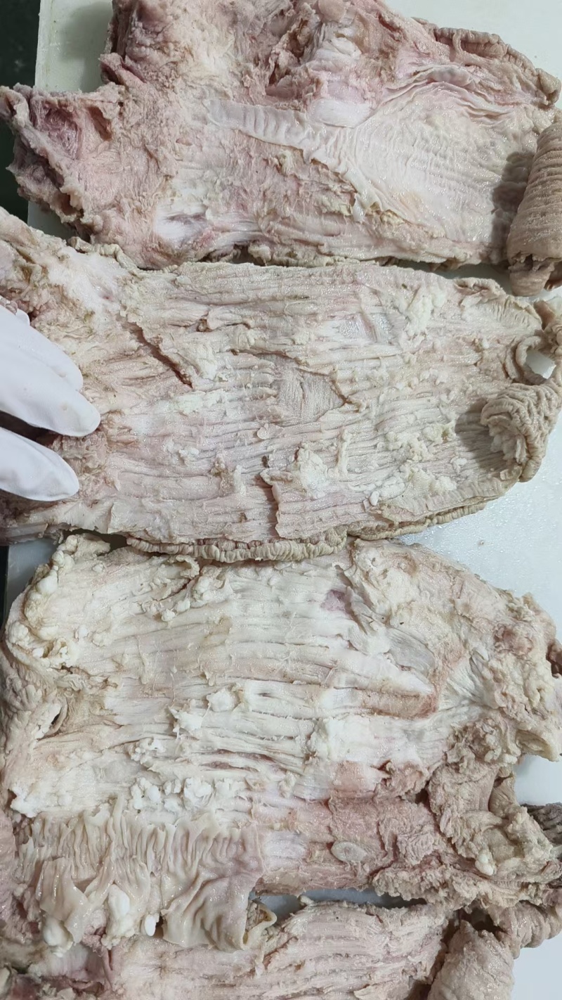 牛碗口肉厚香度高