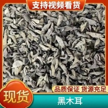 东北黑木耳大棚头茬片形好厚度好性价比比较高