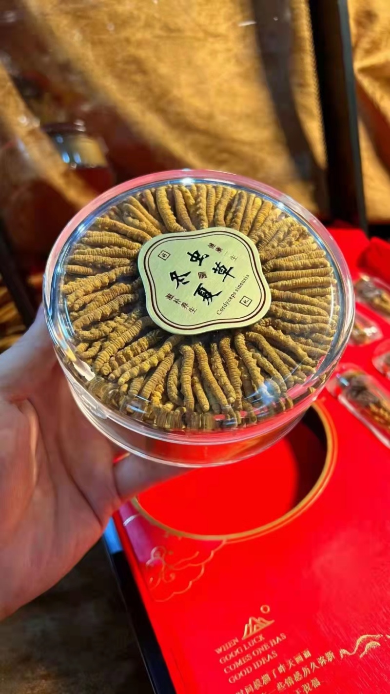 青海.玉树精品头期冬虫夏草，