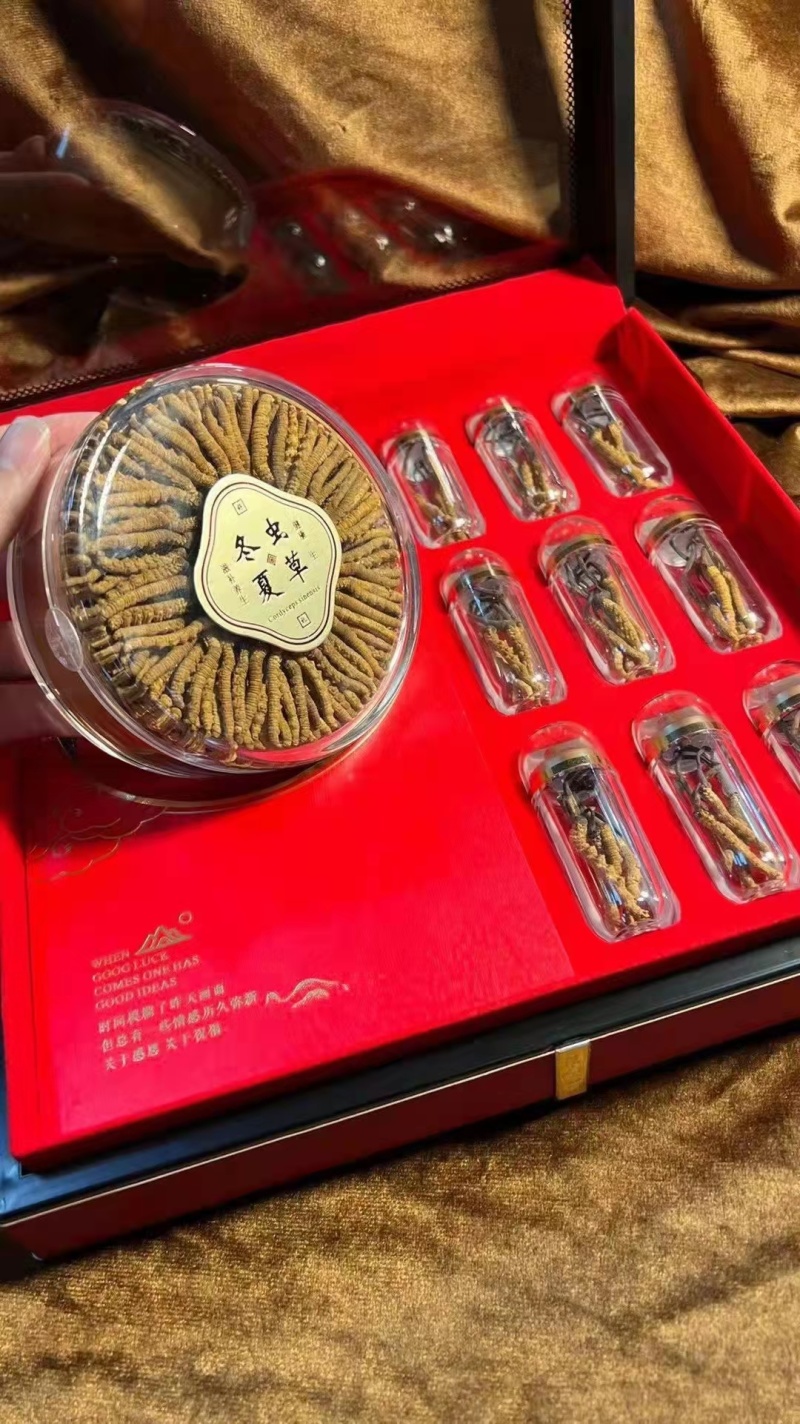 青海.玉树精品头期冬虫夏草，