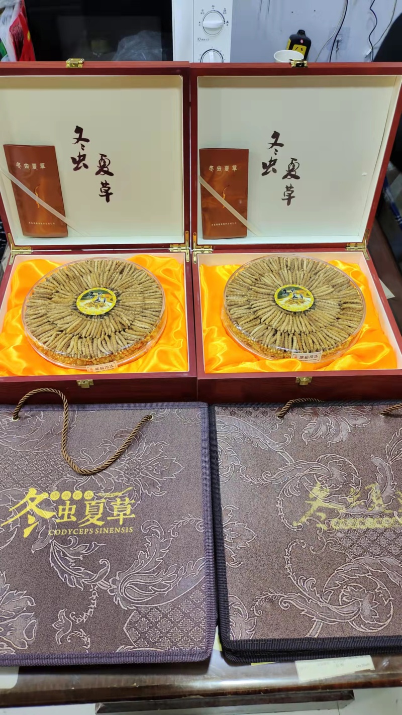 青海.玉树精品头期冬虫夏草，