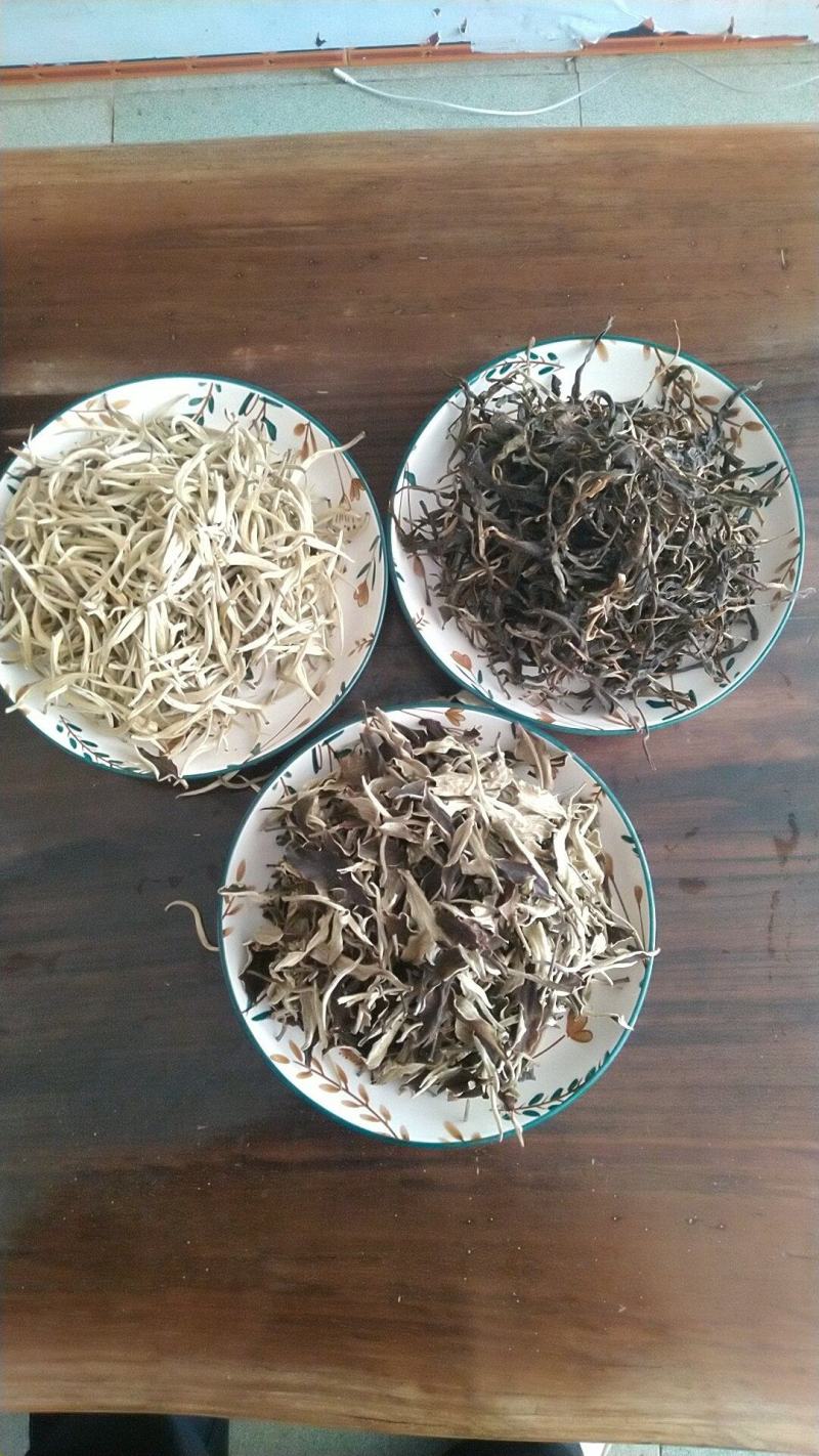 普洱茶