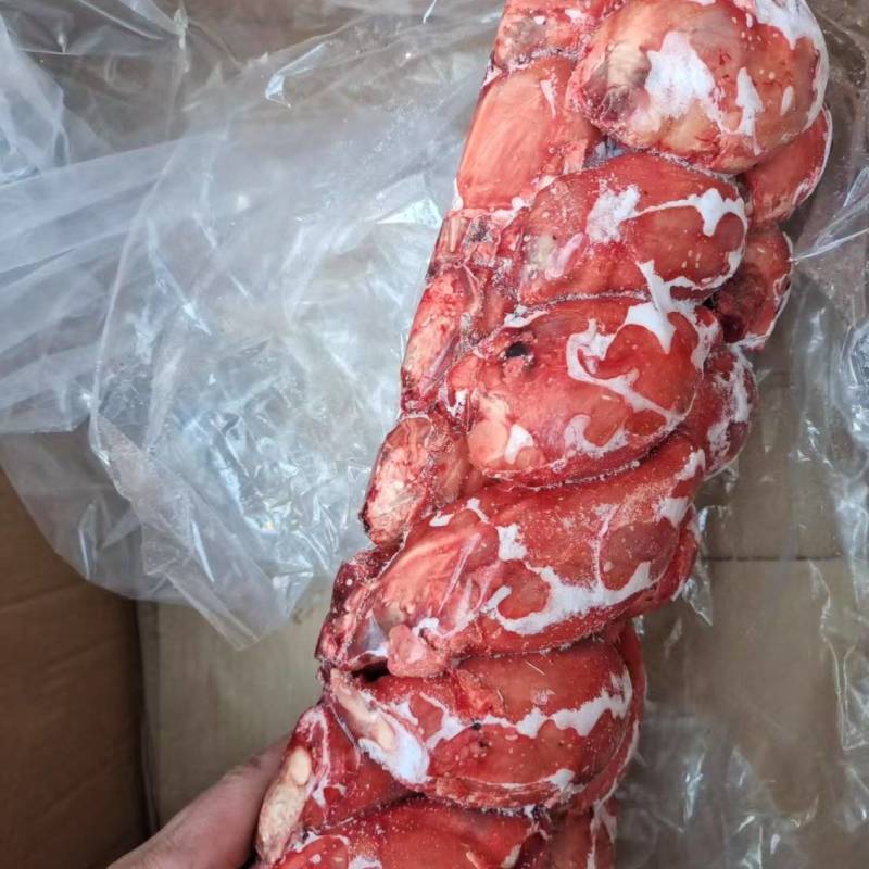 精品羊蛋，各种规格，鲜冻，厂家直销，一手货源