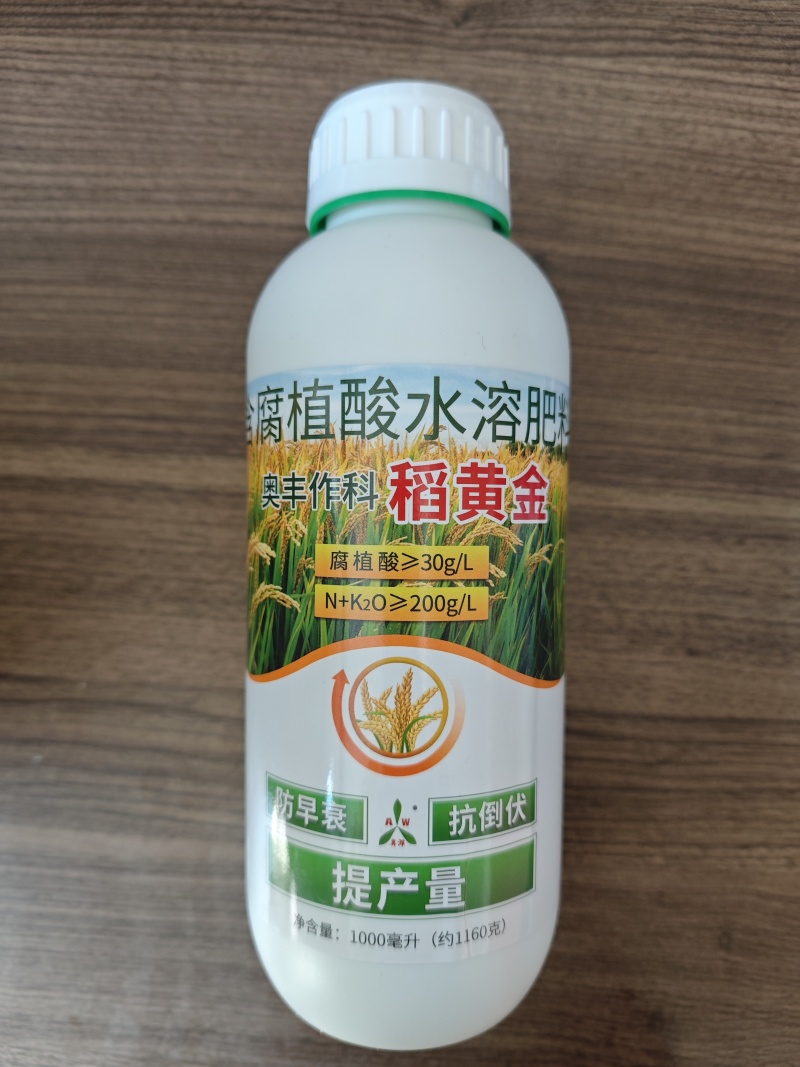 稻黄金水稻抗倒伏促分蘖籽粒饱满增加粒重提高产量
