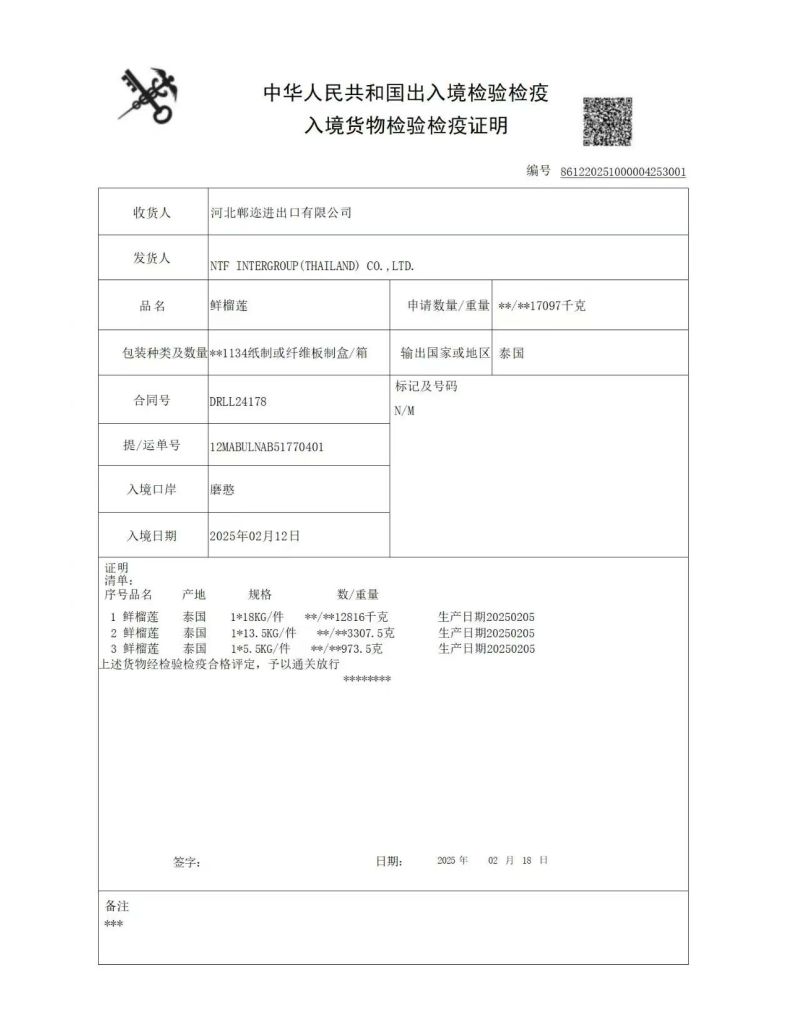 金枕榴莲4-12斤1个，价格优惠产地对接欢迎各位老板合谈