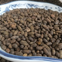 天然五灵脂，新货生五灵脂，实物实拍贵一点好很多，鲁赣药材