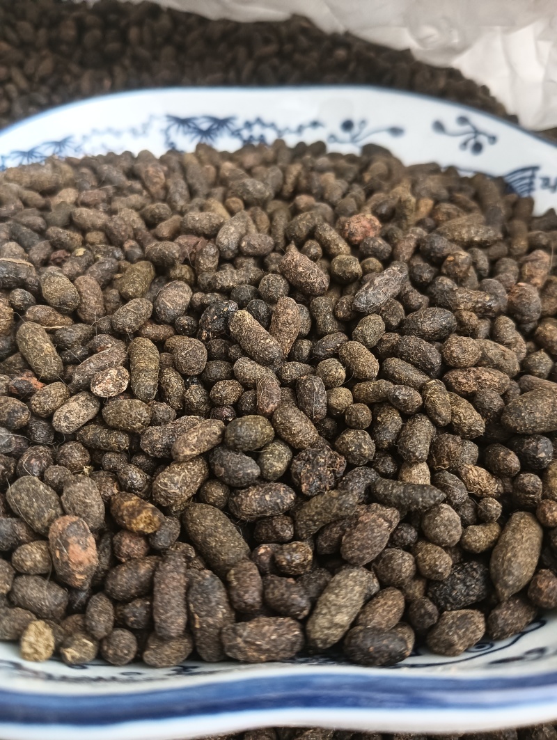 天然五灵脂，新货生五灵脂，实物实拍贵一点好很多，鲁赣药材