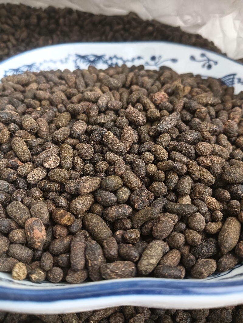 天然五灵脂，新货生五灵脂，实物实拍贵一点好很多，鲁赣药材