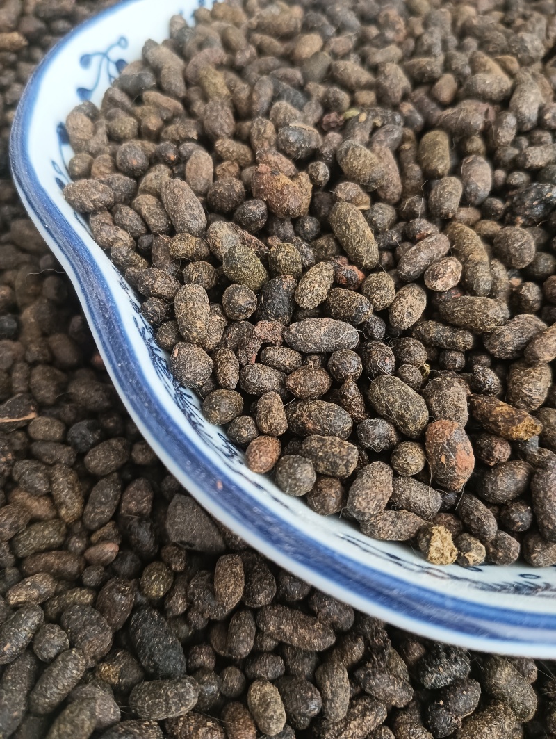 天然五灵脂，新货生五灵脂，实物实拍贵一点好很多，鲁赣药材