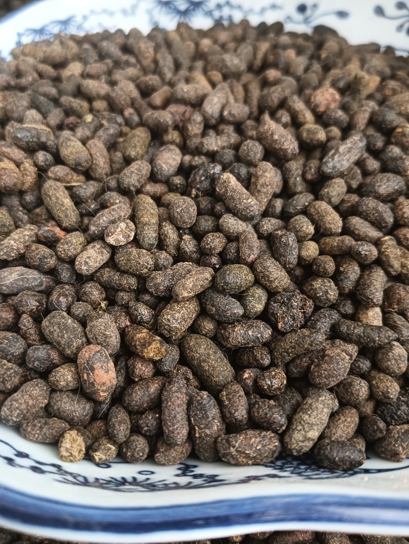 天然五灵脂，新货生五灵脂，实物实拍贵一点好很多，鲁赣药材