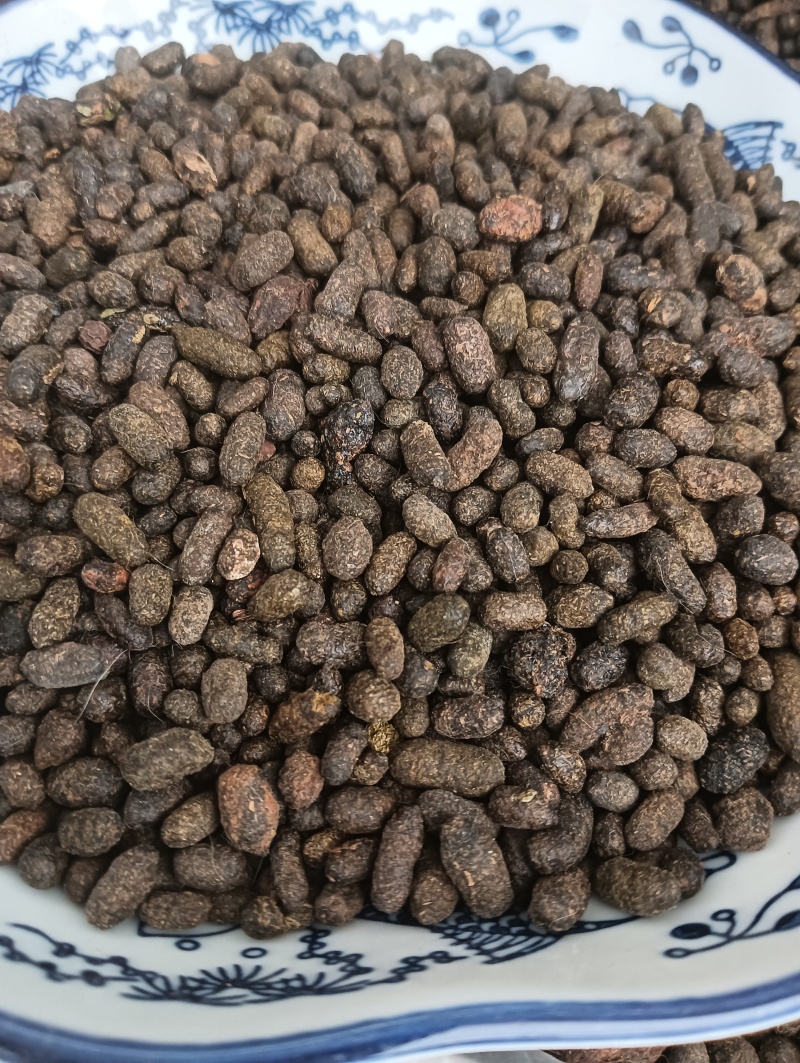 天然五灵脂，新货生五灵脂，实物实拍贵一点好很多，鲁赣药材