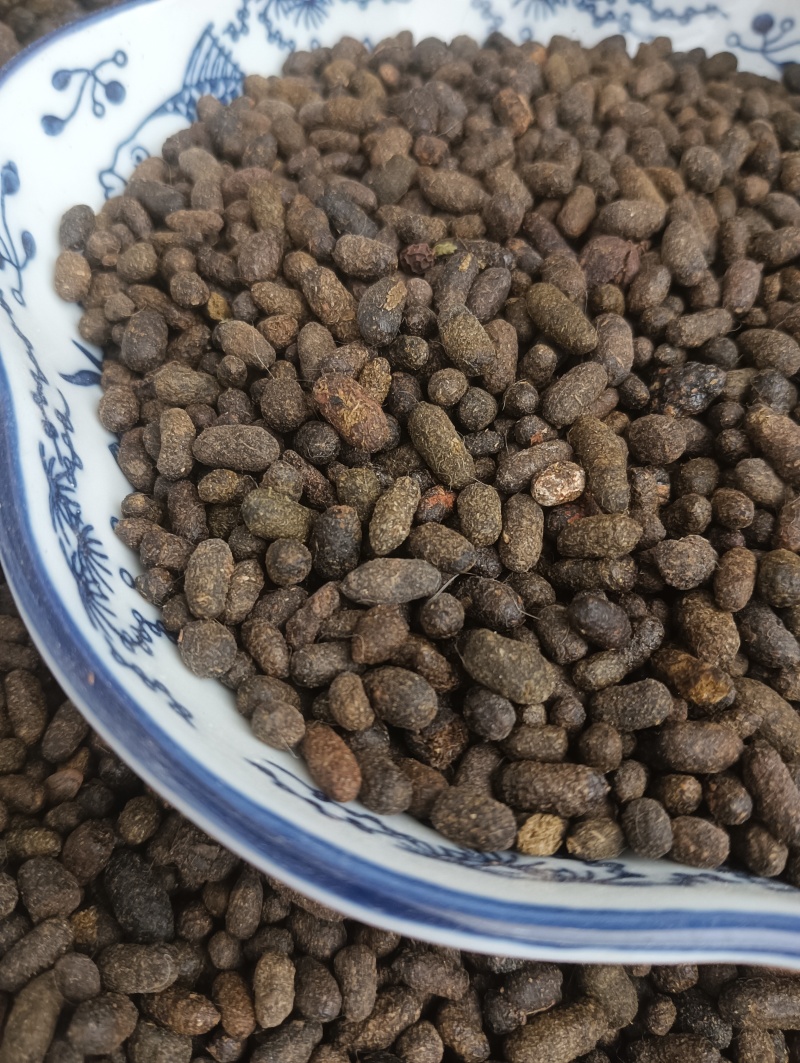 天然五灵脂，新货生五灵脂，实物实拍贵一点好很多，鲁赣药材