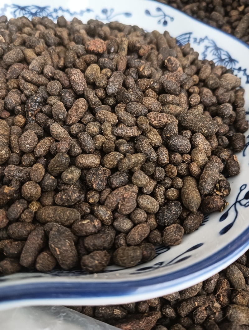 天然五灵脂，新货生五灵脂，实物实拍贵一点好很多，鲁赣药材