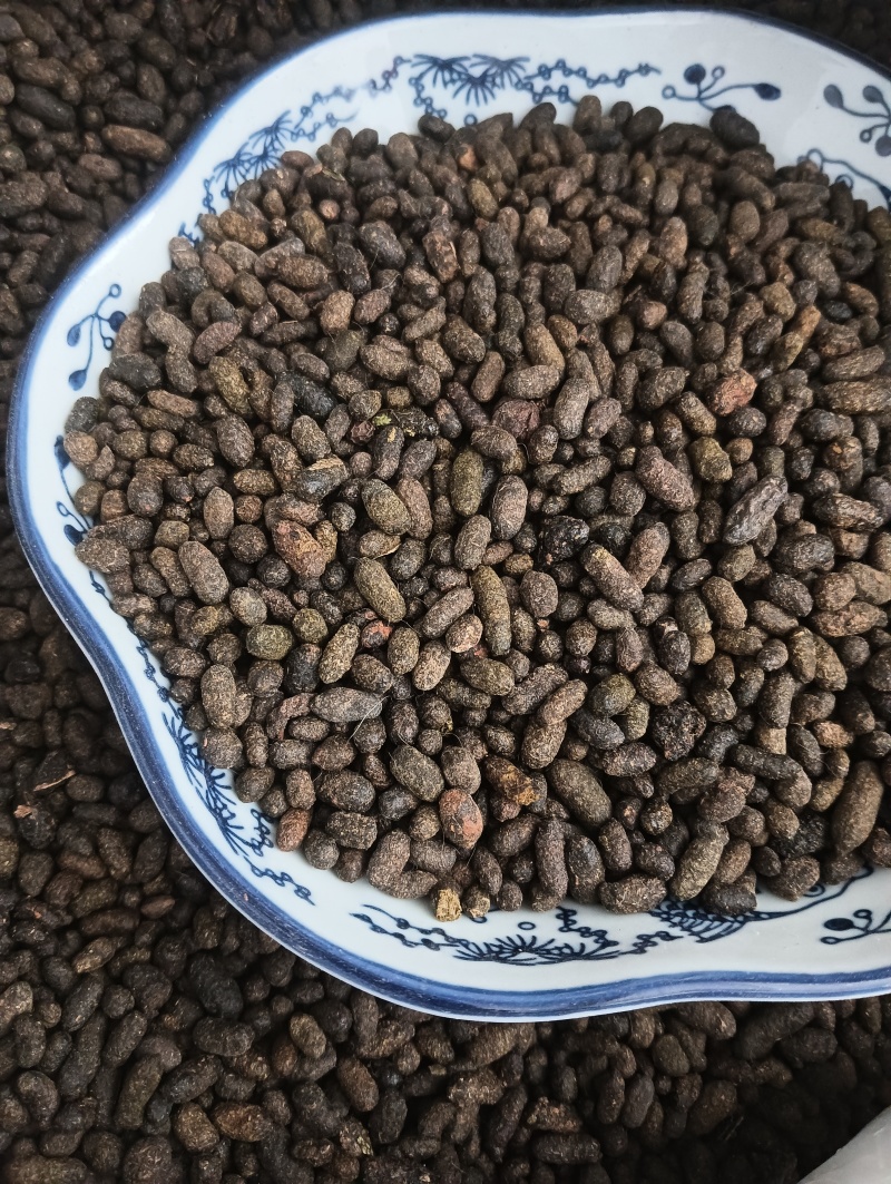 天然五灵脂，新货生五灵脂，实物实拍贵一点好很多，鲁赣药材