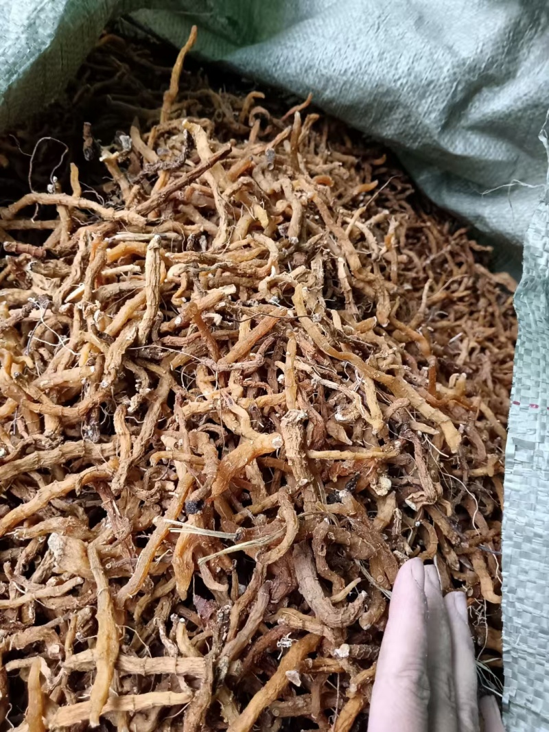 通货玉竹条价格美丽！！！！！！！！！！！！