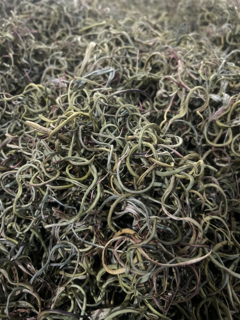 小叶化石草