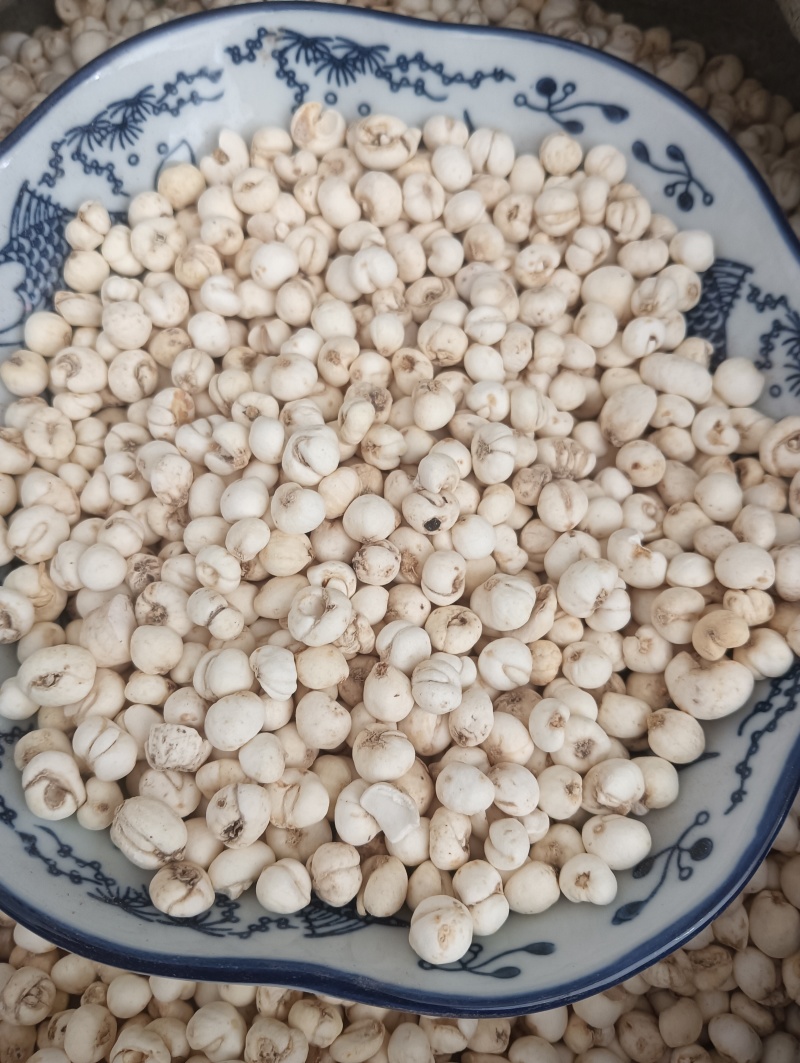 鲁赣药材，平贝，贝母实物实拍，规格任选，量大优惠