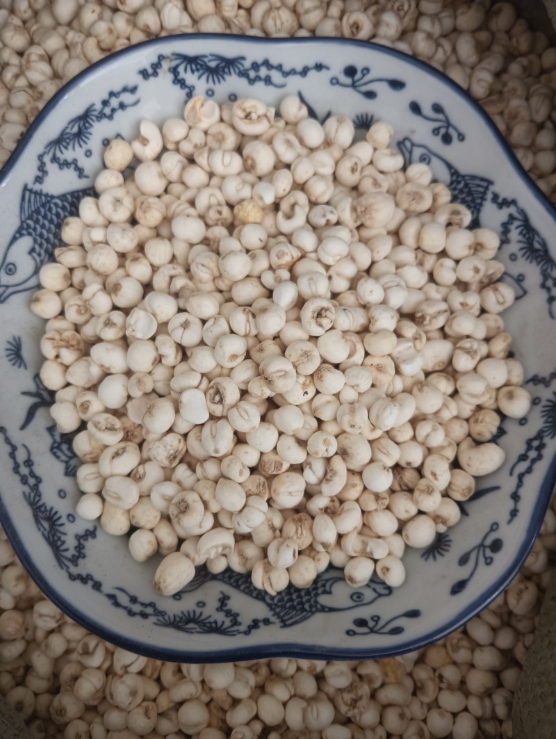 鲁赣药材，平贝，贝母实物实拍，规格任选，量大优惠