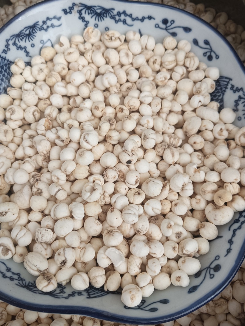 鲁赣药材，平贝，贝母实物实拍，规格任选，量大优惠