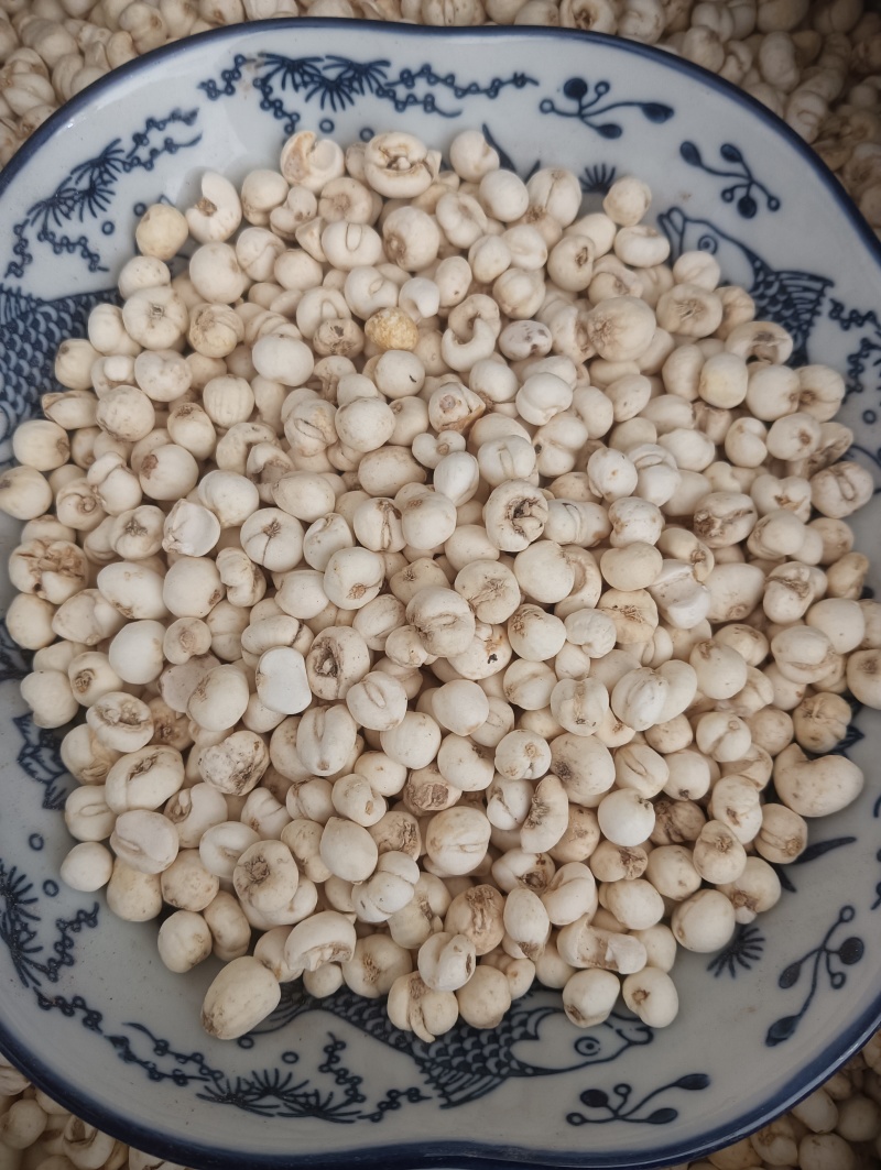 鲁赣药材，平贝，贝母实物实拍，规格任选，量大优惠