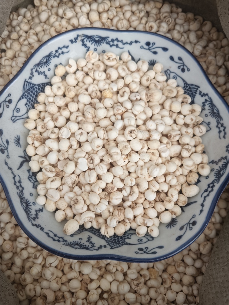 鲁赣药材，平贝，贝母实物实拍，规格任选，量大优惠