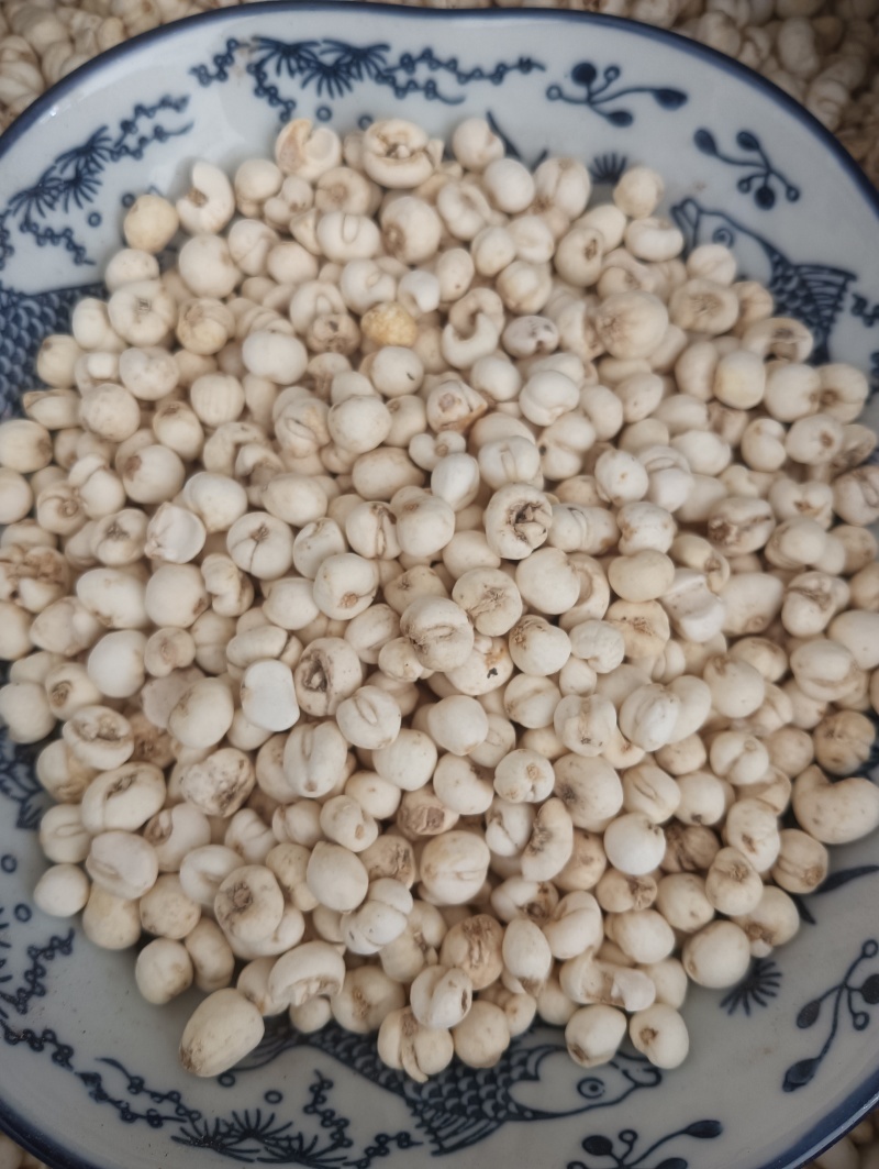 鲁赣药材，平贝，贝母实物实拍，规格任选，量大优惠