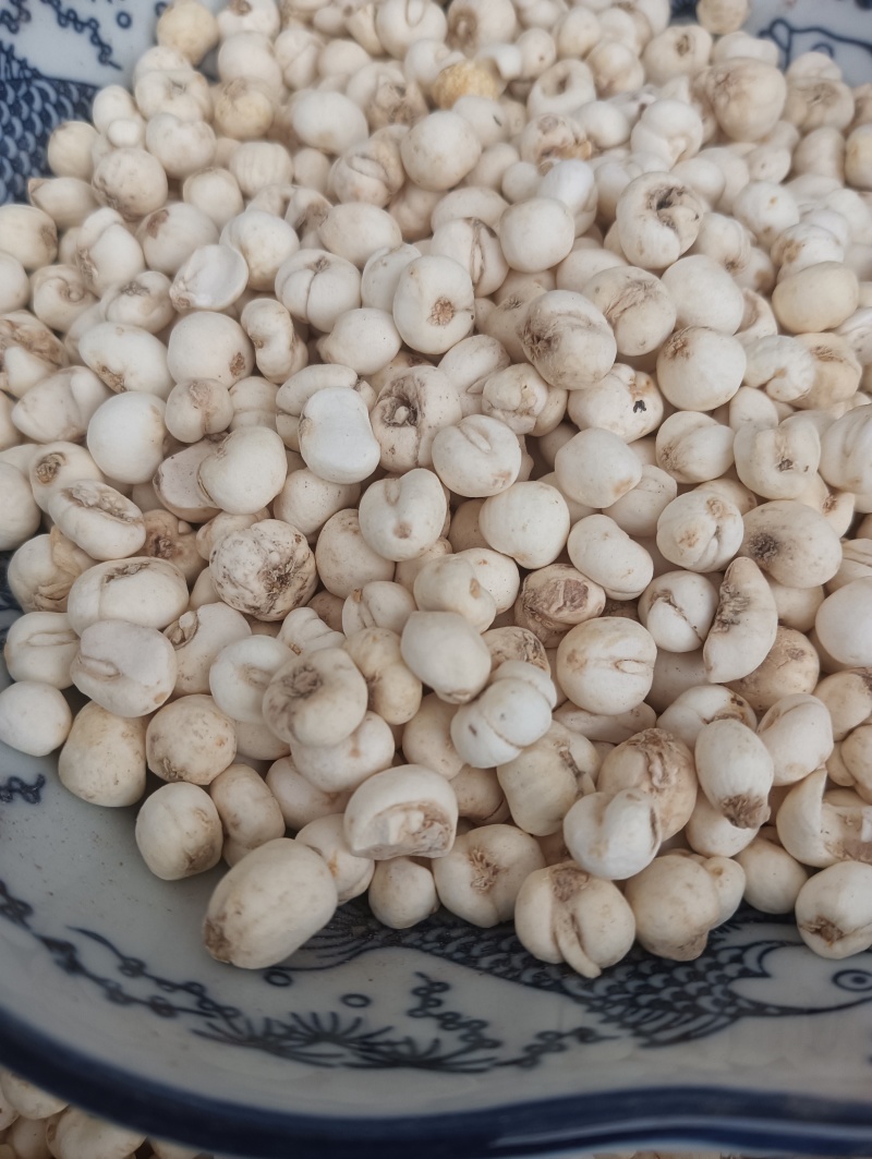鲁赣药材，平贝，贝母实物实拍，规格任选，量大优惠