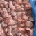 牛头分割牛大铃铛肉质量保证价钱实惠对接全国