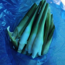 茭白，精品茭，电商茭可持续供应