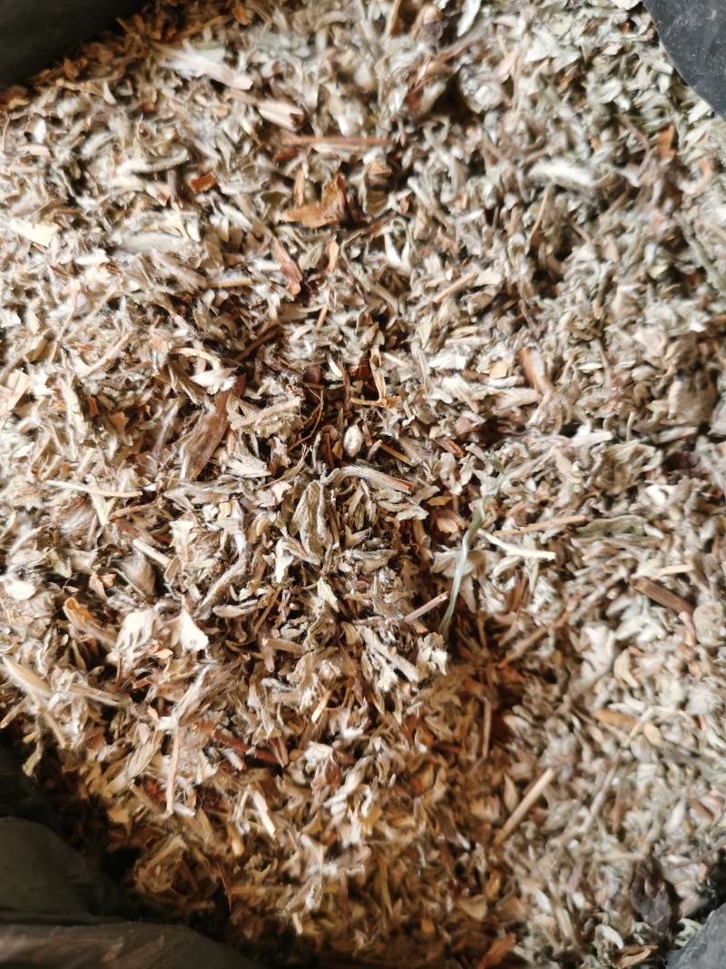 翻白草
