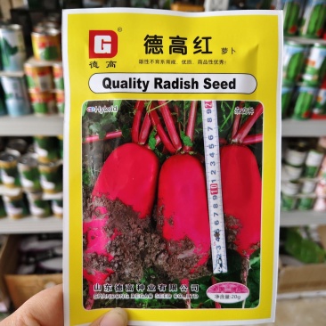 皮色艳红德高红萝卜种子耐热红皮白肉杂交红萝卜种子