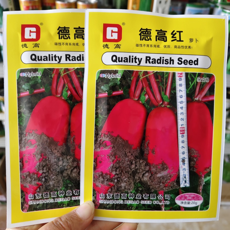 皮色艳红德高红萝卜种子耐热红皮白肉杂交红萝卜种子