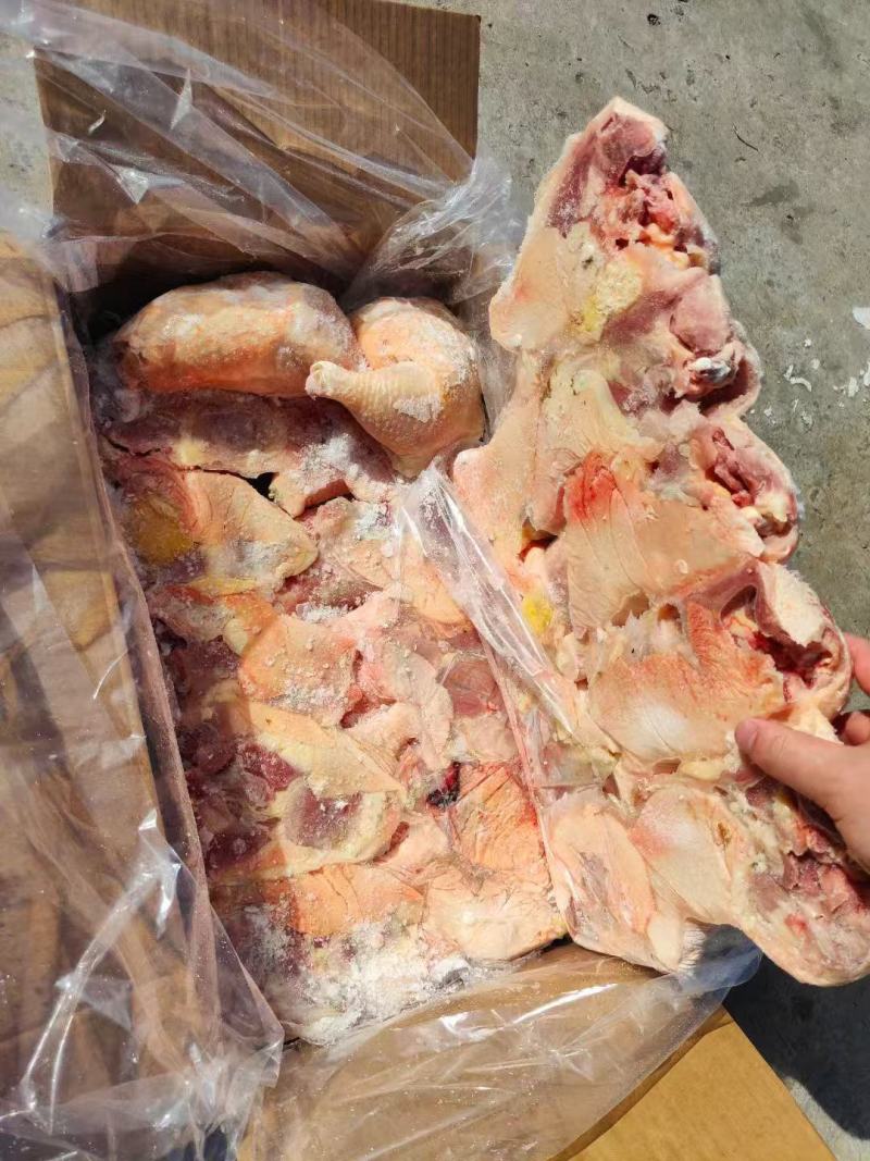 种鸡排腿