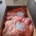 牛脖肉牛前牛胸肉牛背肩进口国产都有一手货源全国发