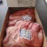 牛脖肉牛前牛胸肉牛背肩进口国产都有一手货源全国发