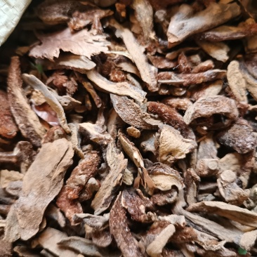 骨碎补别名石姜毛姜