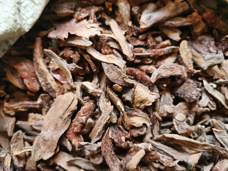 骨碎补别名石姜毛姜