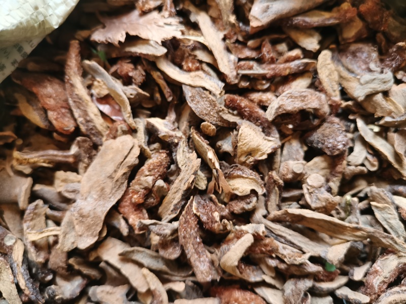 骨碎补别名石姜毛姜