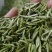 贵州云雾茶高山茶，贵定云雾贡茶毛尖茶，新茶慢慢上市了，