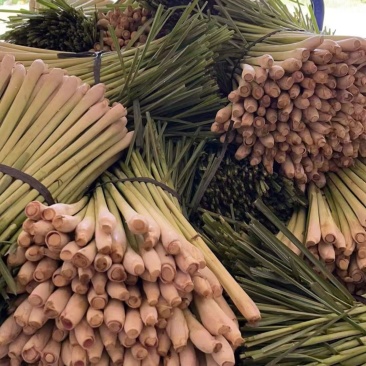 香茅草也叫柠檬草，用途泰国菜、精油、调味料等…