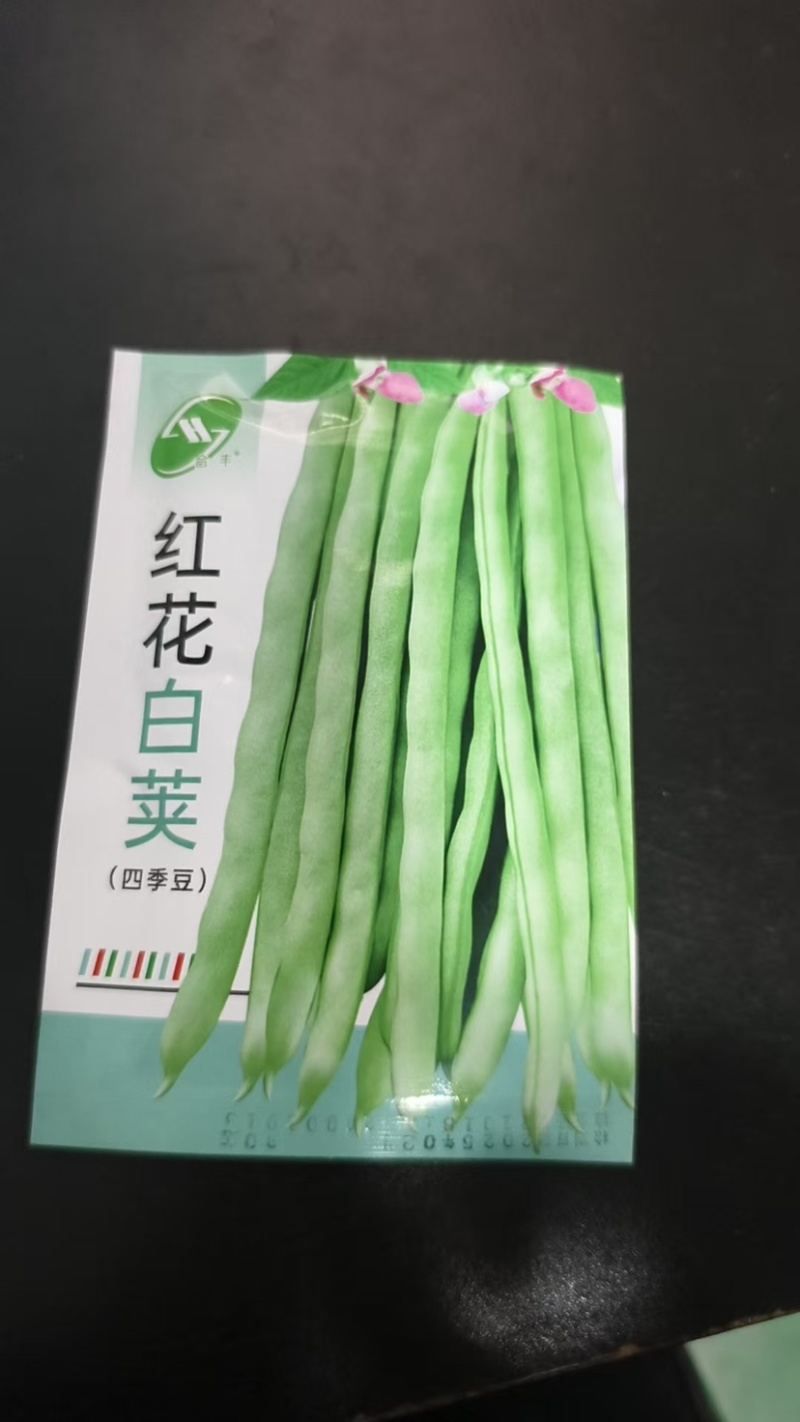四季豆种子-早熟品种肉厚脆嫩无筋需要搭架丰产