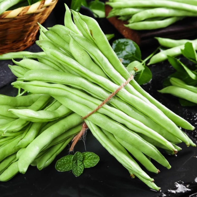 四季豆种子-早熟品种肉厚脆嫩无筋需要搭架丰产