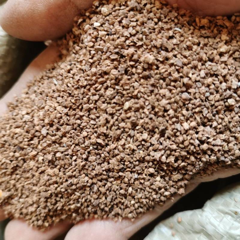 地肤子