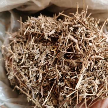 地锦草
