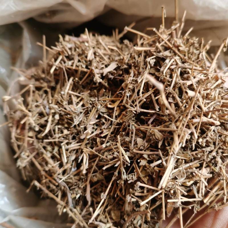 地锦草