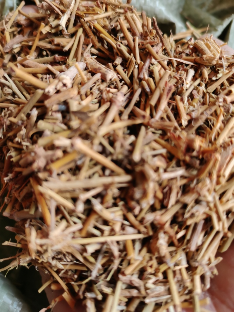 地锦草