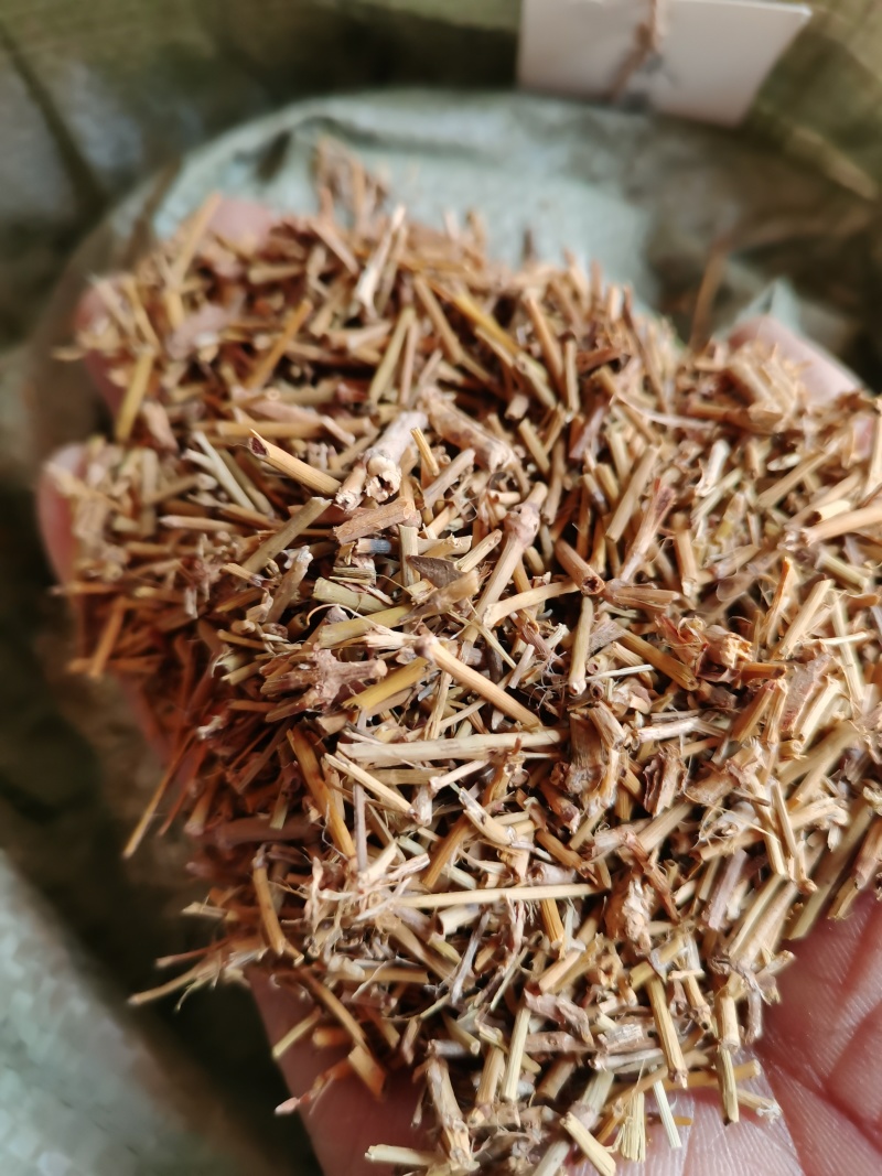 地锦草