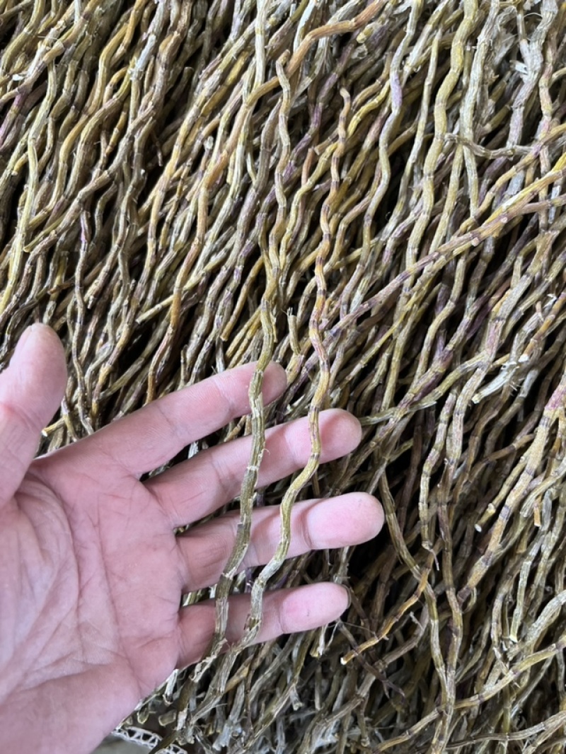 云南铁皮石斛干条，产地直发化渣品质保证，支持视频看货