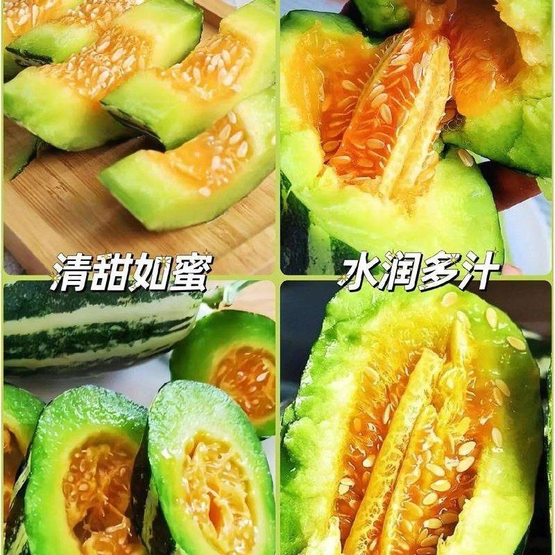 河北！博洋久甜瓜口感酥脆嘎嘎甜适合电商超市批发商代发全国