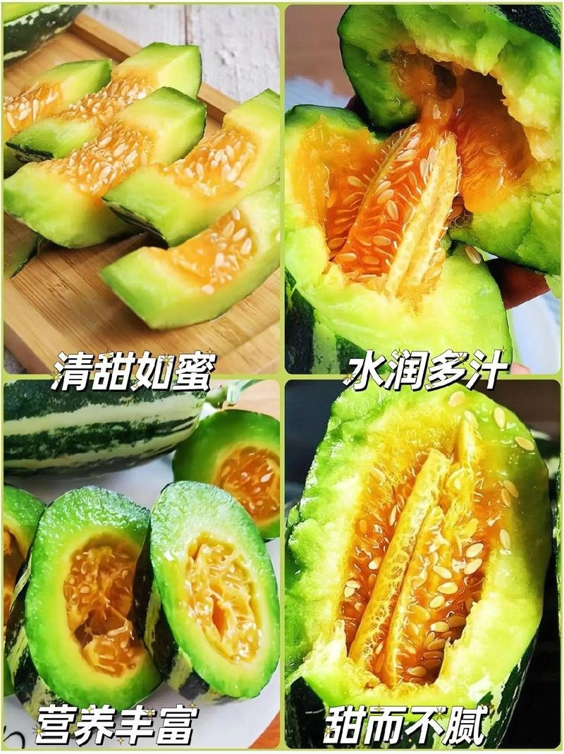 河北！博洋久甜瓜口感酥脆嘎嘎甜适合电商超市批发商代发全国